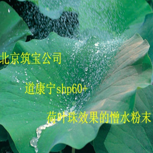 SHP 60+有機硅憎水粉末